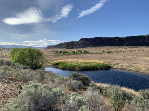 A serene landscape featuring a river, lush greenery, and rocky cliffs under a blue sky with scattered clouds.