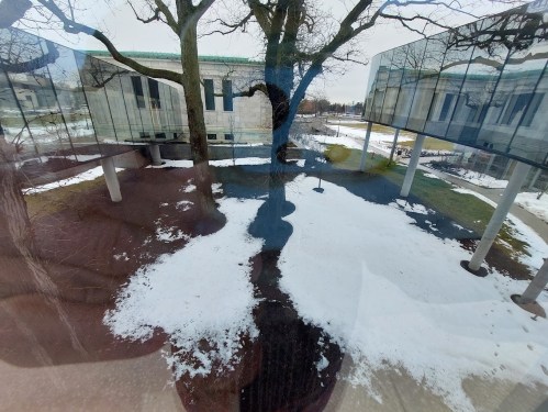 A view of a snowy landscape with a tree, reflecting glass structures, and patches of grass in a modern architectural setting.