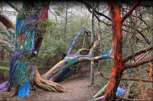 Colorfully painted trees in a wooded area, with vibrant hues of blue, purple, and orange along the bark.