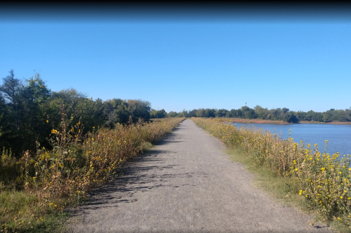 A gravel path lined with wildflowers leads towards a calm body of water under a clear blue sky.