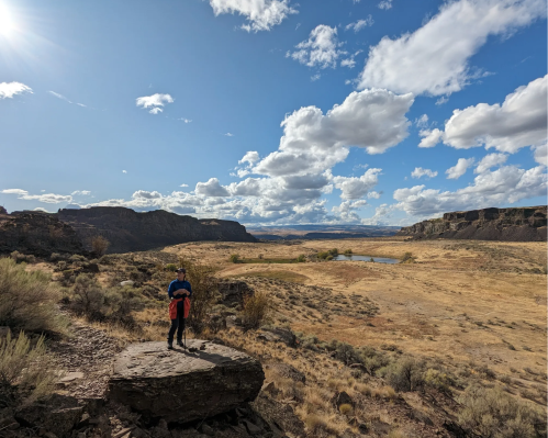 A person stands on a rock in a vast, open landscape with rolling hills, a lake, and a blue sky filled with clouds.