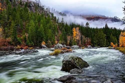 A flowing river surrounded by lush green trees and autumn foliage, with misty mountains in the background.