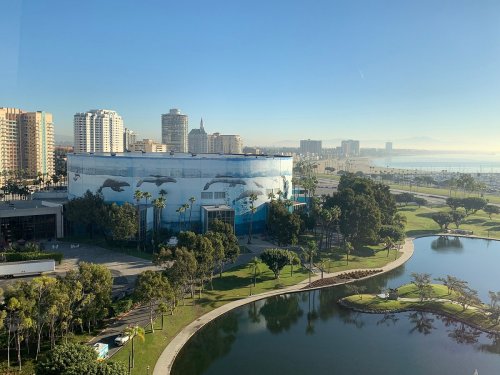 A waterfront view of a building with a dolphin mural, surrounded by palm trees and a calm pond, with city skyline in the background.