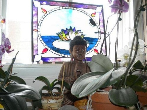A serene Buddha statue surrounded by lush plants, with a colorful stained glass window depicting a lotus flower in the background.