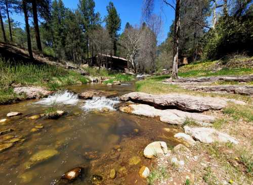 A serene stream flows through a forested area, with rocks and greenery under a clear blue sky.