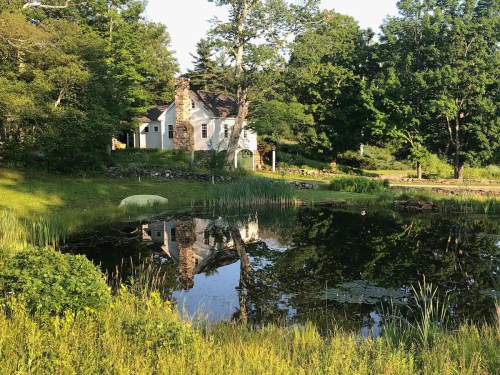 A serene scene of a white house reflected in a pond, surrounded by lush greenery and trees.