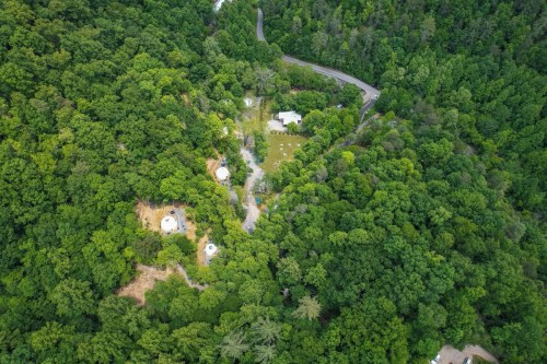 Aerial view of a lush green forest with scattered buildings and winding roads visible among the trees.