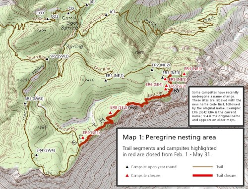 Map showing peregrine nesting area with trail segments and campsites highlighted in red, indicating closures from Feb. 1 - May 31.