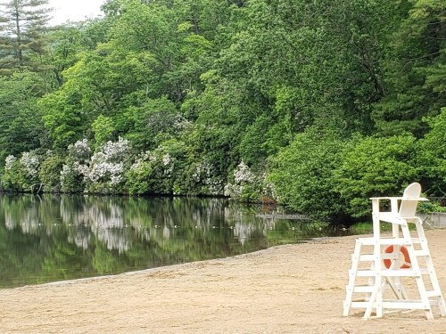 A lifeguard chair on a sandy beach beside a calm lake, surrounded by lush green trees and blooming flowers.