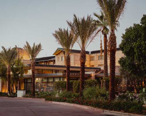 A modern hotel surrounded by palm trees, with warm lighting and a landscaped entrance at dusk.