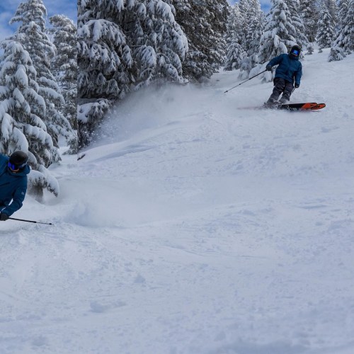 Two skiers in blue jackets navigate a snowy slope surrounded by tall, snow-covered trees.