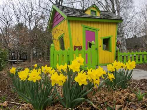 Brightly colored yellow and pink playhouse surrounded by vibrant yellow daffodils in a garden setting.