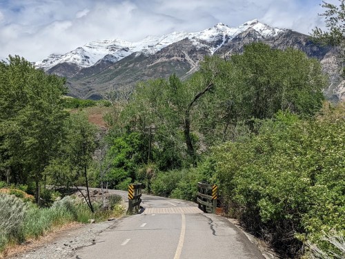 A scenic pathway leads towards snow-capped mountains, surrounded by lush greenery and trees under a cloudy sky.