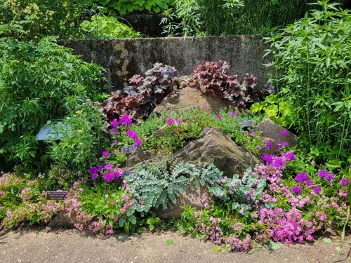 A vibrant garden display featuring colorful flowers and lush greenery surrounding a rocky centerpiece.