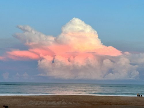 A serene beach scene with soft pink clouds reflecting the sunset over calm ocean waters.