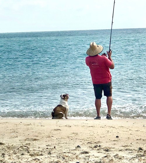 A person fishing on the beach with a dog sitting nearby, overlooking the calm ocean under a clear sky.