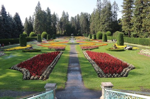 A vibrant garden with colorful flower beds, neatly arranged paths, and lush greenery under a clear blue sky.