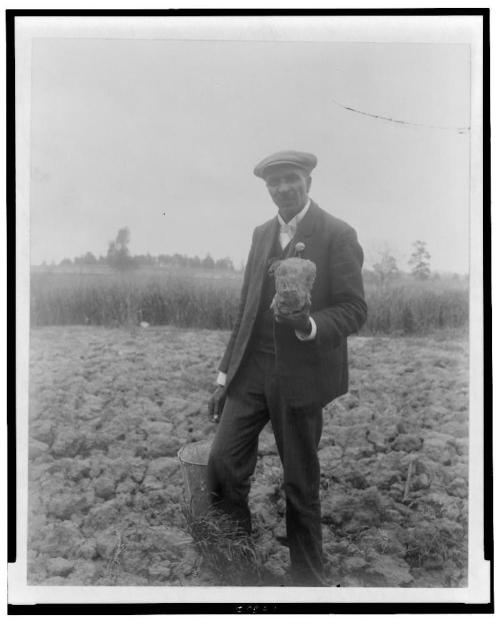 A man in a suit and hat holds a large root vegetable in a plowed field, with trees in the background.