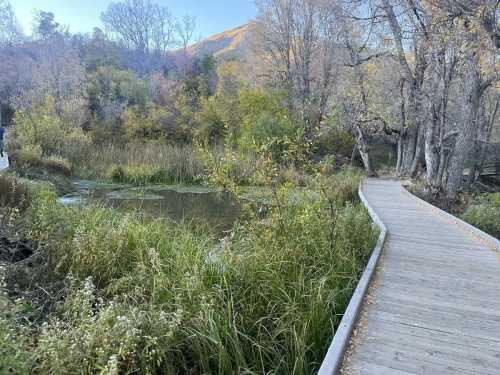 A wooden boardwalk winds through lush greenery and a serene pond, surrounded by autumn foliage.