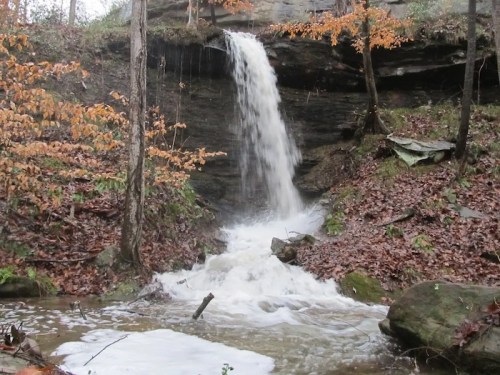 A serene waterfall cascades over rocky terrain, surrounded by autumn leaves and a tranquil stream below.