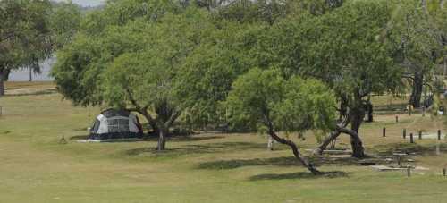 A tent set up under large trees in a grassy area near a body of water.