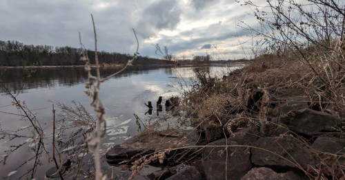 A tranquil river scene with rocky shore, overgrown grass, and a cloudy sky reflecting on the water's surface.