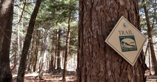 A trail sign attached to a tree in a wooded area, indicating the Door County Land Trust.