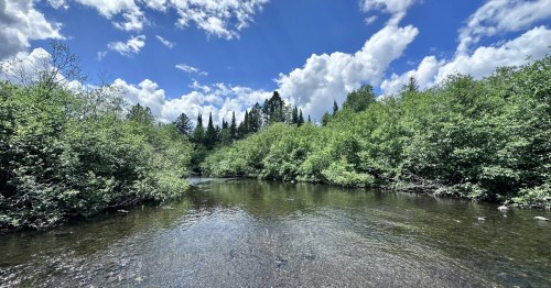 A serene river flows through lush greenery under a bright blue sky with fluffy clouds.