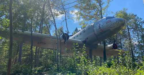 An old airplane, resembling a WWII fighter, is perched among trees in a forested area under a clear blue sky.