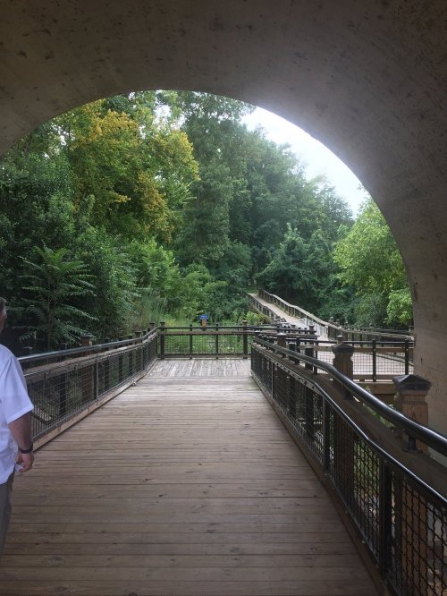 A wooden walkway leads through lush greenery, framed by a concrete arch.