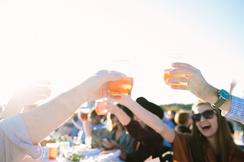 A group of people toasting with drinks in a sunny outdoor setting, celebrating together.