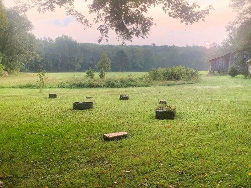 A serene landscape with scattered stones on green grass, framed by trees and a sunset in the background.
