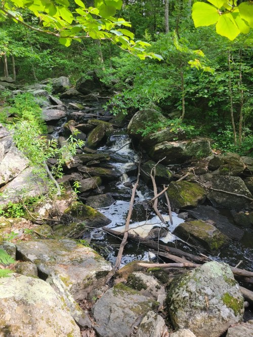A serene stream flows over rocks, surrounded by lush green foliage and trees in a peaceful natural setting.