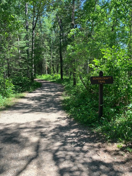 A dirt path through a lush green forest, with a sign marking the Schoolcraft Trail.