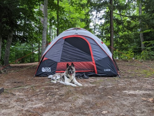 A tent in a wooded area with a dog lying in front of it on the ground.