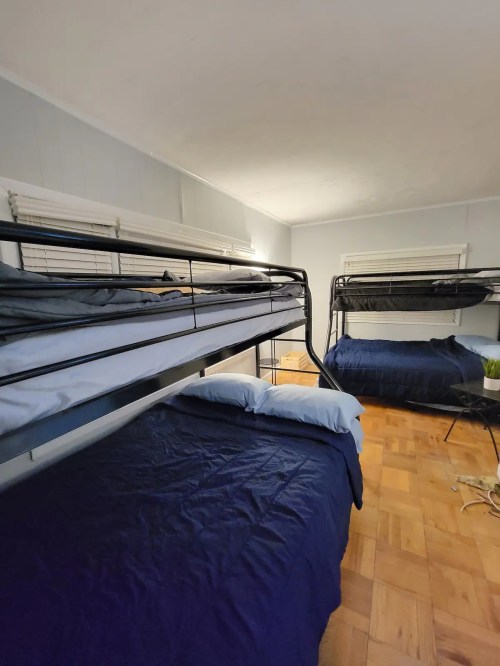 A room with two sets of bunk beds, featuring blue bedding and a small plant on the floor.