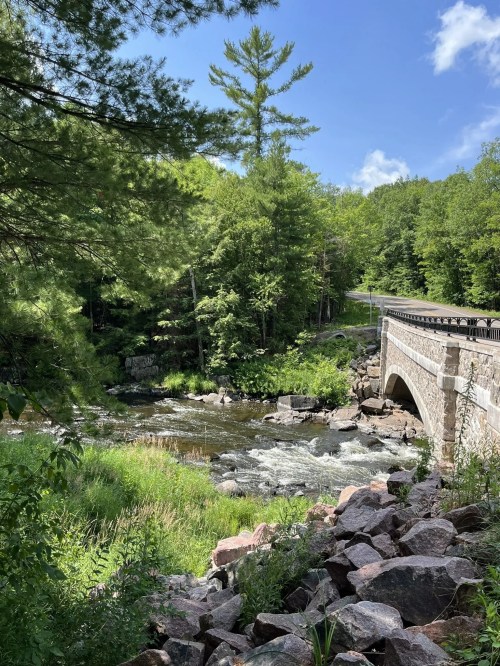 A scenic view of a stone bridge over a flowing river, surrounded by lush greenery and trees under a blue sky.