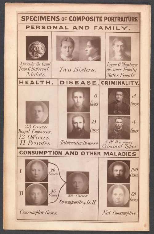 A vintage poster displaying composite portraits and statistics on health, disease, and criminality in families.