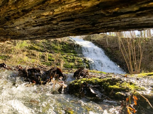 A serene waterfall cascades over mossy rocks, framed by a fallen log and surrounded by greenery.