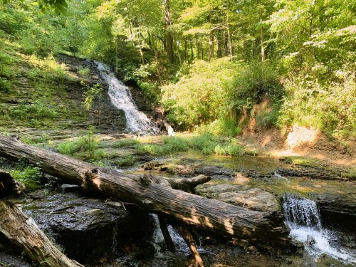 A serene forest scene featuring a waterfall cascading over rocks, surrounded by lush greenery and fallen logs.