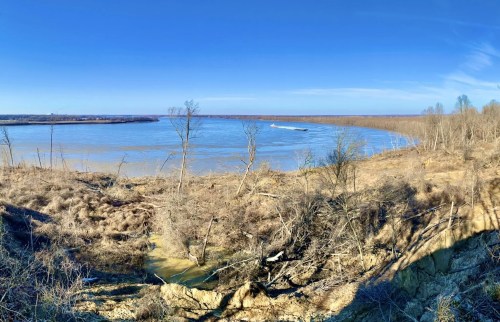 Panoramic view of a river winding through a landscape with bare trees and a clear blue sky.