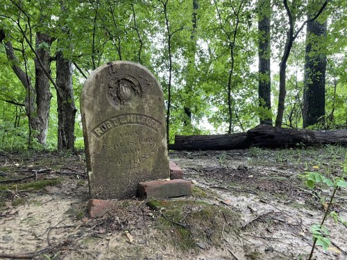 A weathered gravestone in a wooded area, partially surrounded by greenery and fallen logs.