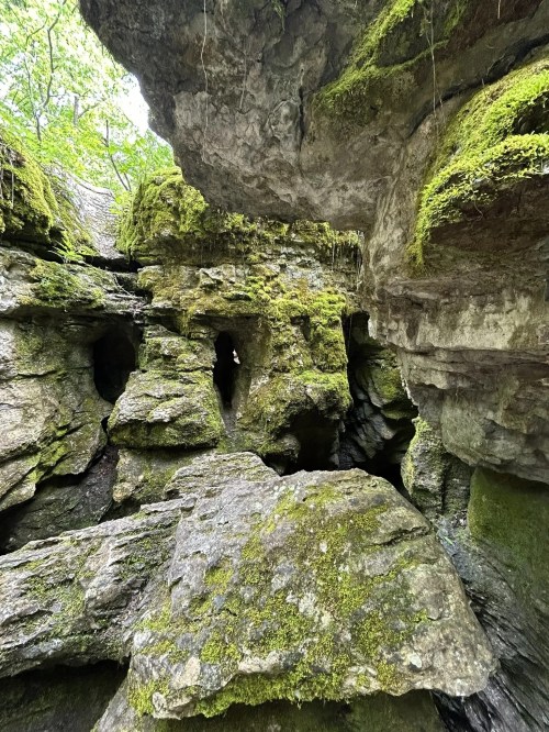 A rocky landscape with moss-covered boulders and crevices, surrounded by greenery and natural formations.