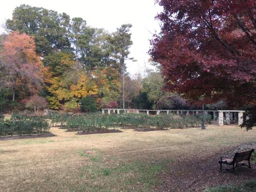 A serene garden with autumn foliage, featuring rose bushes and a stone structure, with a bench in the foreground.