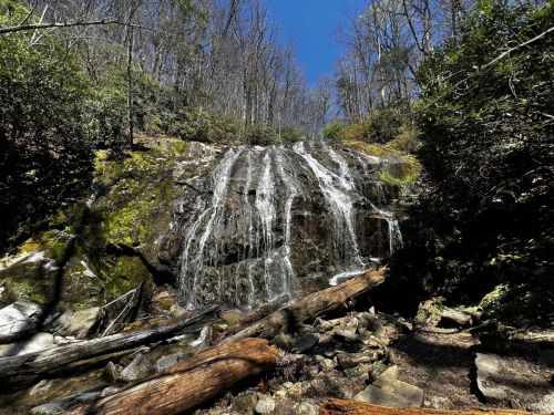 A serene waterfall cascades over rocks, surrounded by trees and greenery under a clear blue sky.