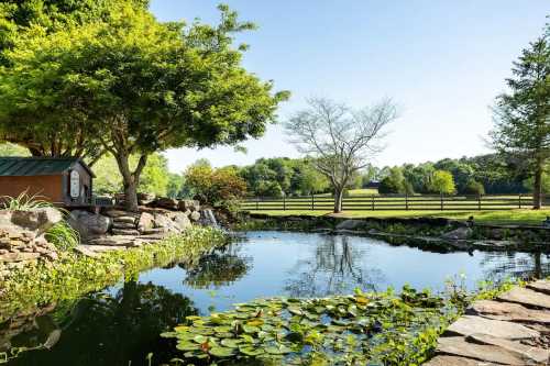 A serene pond surrounded by lush greenery and trees, reflecting the clear blue sky and distant fields.