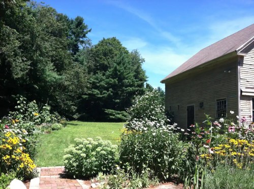 A sunny garden with colorful flowers and a grassy area, beside a rustic wooden house under a clear blue sky.