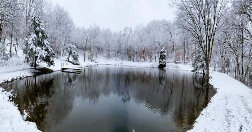 A serene winter scene of a snow-covered pond surrounded by trees, reflecting the snowy landscape.