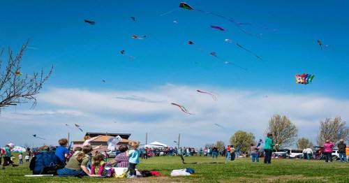 A vibrant outdoor scene with people flying colorful kites on a sunny day, surrounded by green grass and trees.