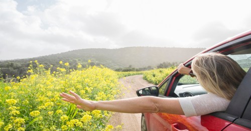A person leans out of a car window, enjoying a scenic drive through a field of yellow flowers under a bright sky.